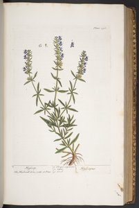 Plate 296, from 