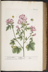 Plate 309, from 