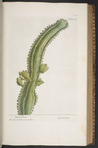Plate 340, from 