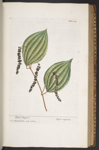 Plate 348, from 