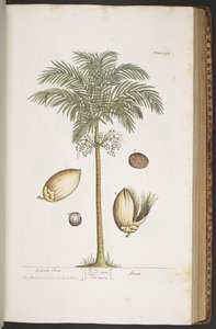 Plate 387, from 