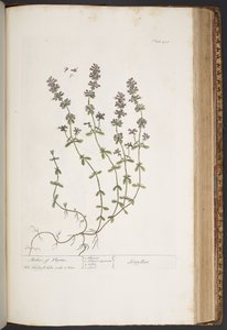 Plate 418, from 