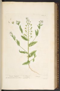 Plate 68, from 