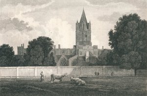 Christ Church Cathedral, Oxford by Elizabeth Byrne