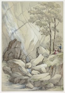 Powerscourt Waterfall by Elizabeth Murray