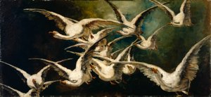Flock of Geese