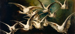 Flock of Geese