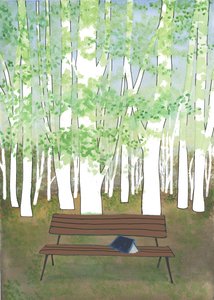 Bench in the Forest by Elizabeth Rider