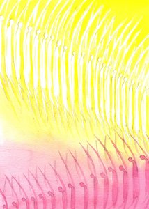 The heavenly host by Elizabeth Wang