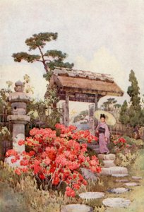 Azaleas