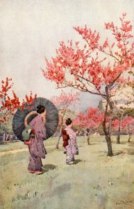 Peach Blossom