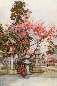 Plum Blossom and Lanterns