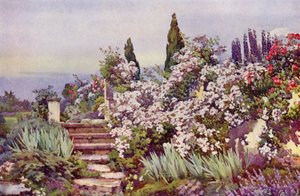 The Garden Steps by Ella Du Cane