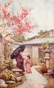 The Kobai Plum Blossom