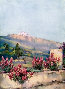 The Peak, from Villa Orotava by Ella Du Cane