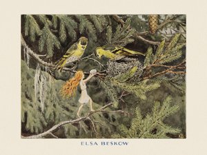 The Sun Egg - The Birds