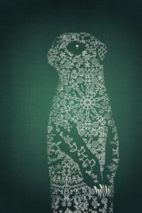 Intricate Meerkat Design by Ema Paraschiv