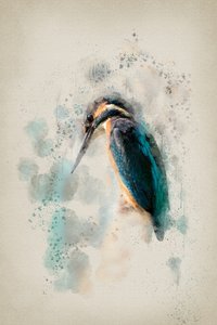 Vibrant Kingfisher Watercolor by Ema Paraschiv