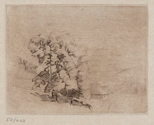 Connecticut Landscape