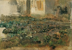 Turnip Field, c.1888