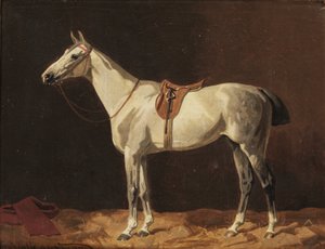 A Saddled Grey Horse Waiting in a Stable by Emil Volkers