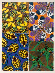 Design with insect motif by Émile Allain Séguy