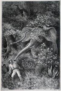 Livingstone surprised by an elephant, in "Le Tour du Monde" by Emile Antoine Bayard