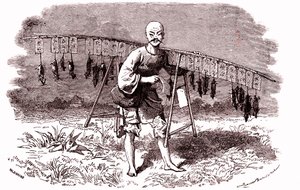 Rat Killer in China by Emile Antoine Bayard