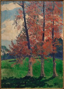 The Red Poplars