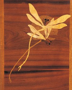 Dragonflies (detail)