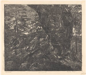 Trees on a Dune Edge Between Egmond and Bergen