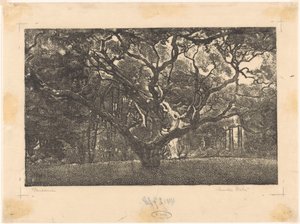 Forest in Bergen by Emilius Wilhelmus Dehé (signed by artist)