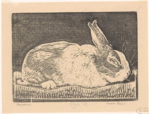 Rabbit