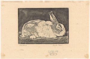 Rabbit