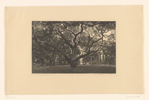 Old Tree by Emilius Wilhelmus Dehé (signed by artist)