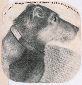 Grasper, from life by Emily Bronte