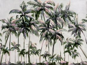 Lush Tropical Palms