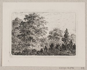 Forest Landscape by Emma Meyer