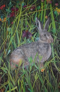 Among the Wild Flowers, 2022