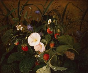 Wild Strawberries, Bluebells and a Hedge Bindweed on a Bank