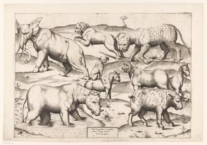 Nine Animals by Enea Vico (attributed to)