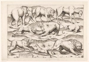 Nine Wild Animals by Enea Vico (attributed to)