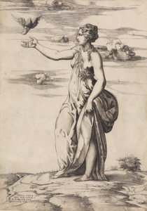 Proserpine Changing Aesculapius into an Owl, 1548