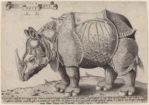 Rhinoceros by Enea Vico after Albrecht Dürer