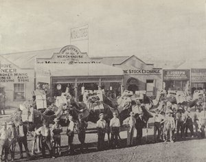 A Camel Train, Coolgardie, West Australia by English Photographer
