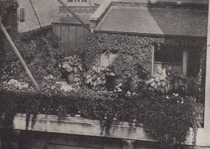 A Roof Garden by English Photographer