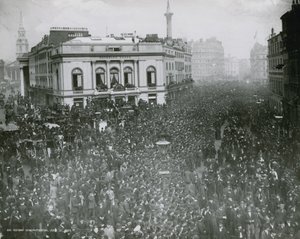 Aerial View of the Reform Demonstration by English Photographer