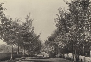 Aldeburgh, Westfields Avenue by English Photographer