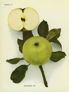 Apples of England: Edward VII