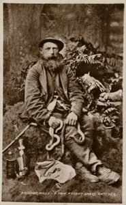 Brusher Mills, a New Forest Snake Catcher by English Photographer